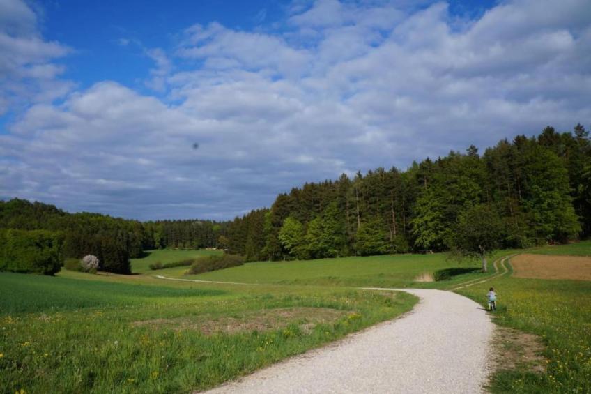 Ferienwohnung in Arrach bei Skigebiet Großer Arber - foto 23