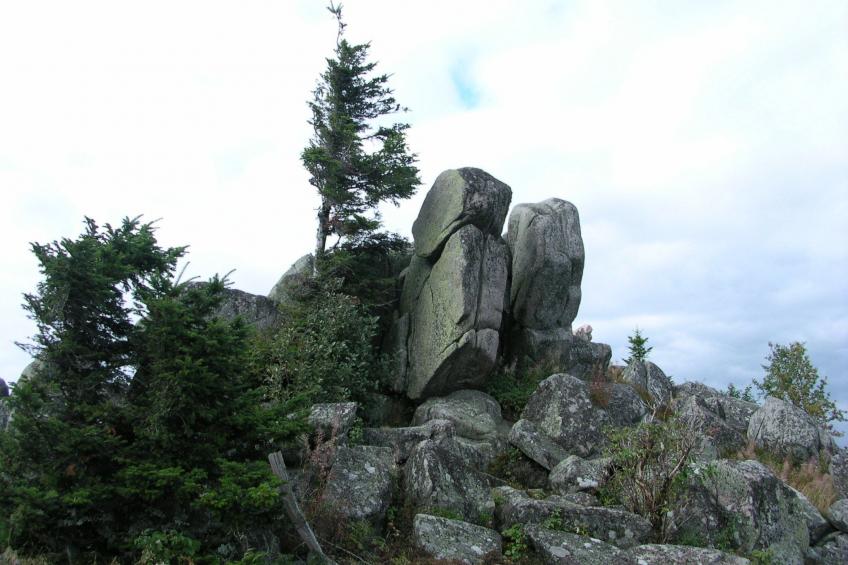 Zwischen Elsass und Vogesen, gite in einem schönen Chalet. - foto 20