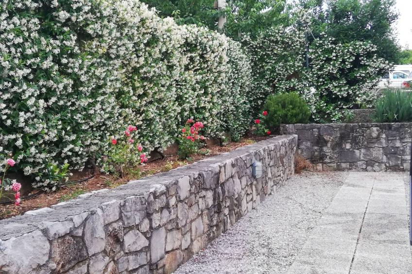 Hermada Aufenthalte in Duino - foto 21