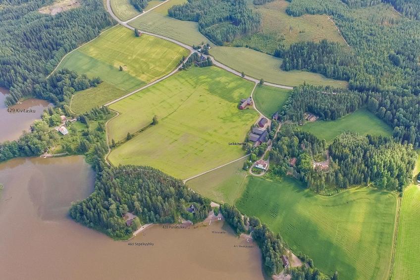 Peltosirkku, seeteri - foto 2