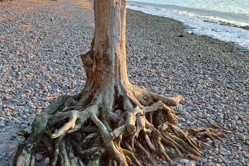 Villa kallahti beach view helsinki - foto 46