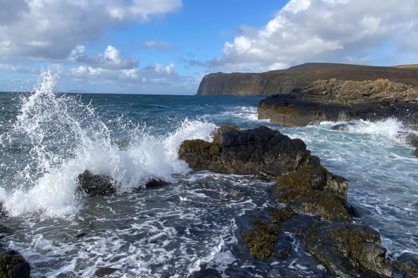 The Studio - foto 34