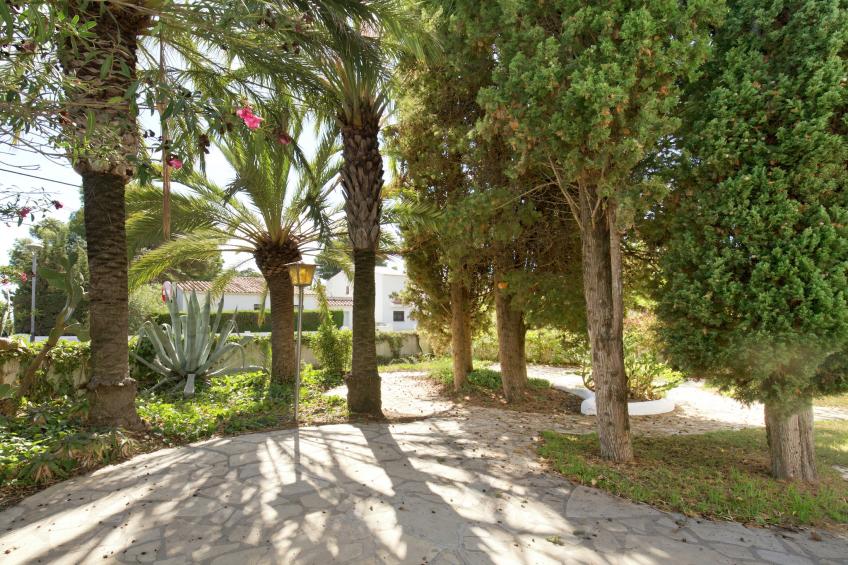 Nobi's Los Pinos - foto 22