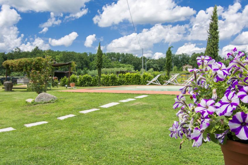 Tenuta Daussiè (LUU400) - foto 5
