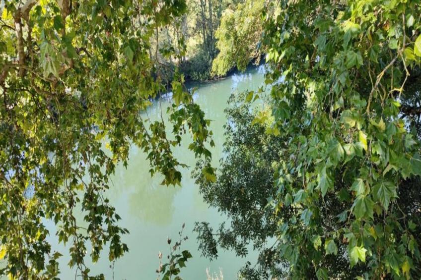 Maison de vacances - SERILHAC - foto 35