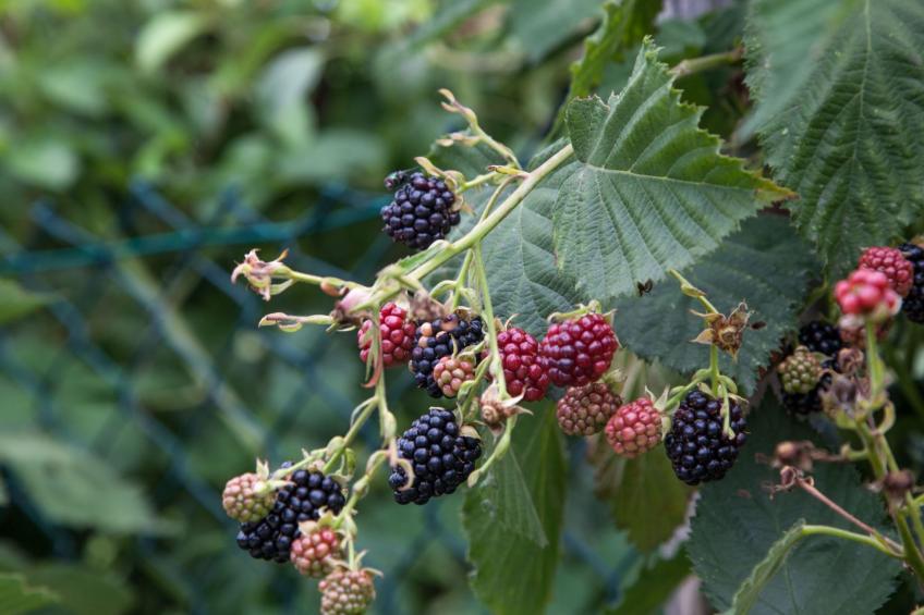 Wohnung mit Privatparkplatz - foto 32