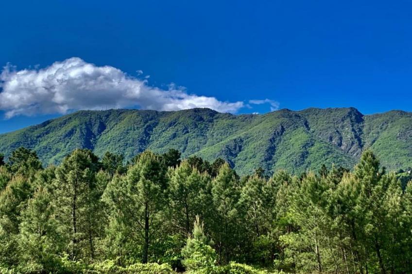 Villa Ardeche - foto 34