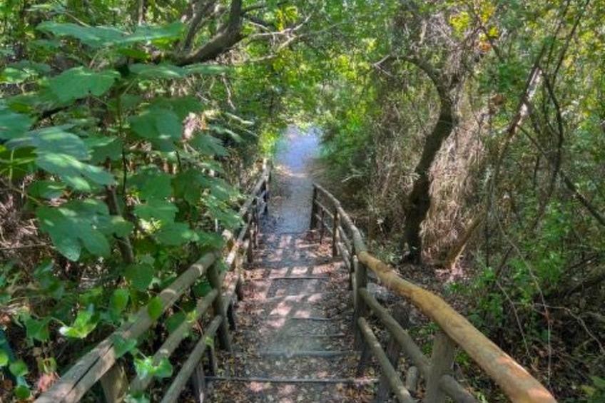 Dominella 3 - Apartment in Casal Velino für bis zu 3 Personen mit Terrasse - foto 20