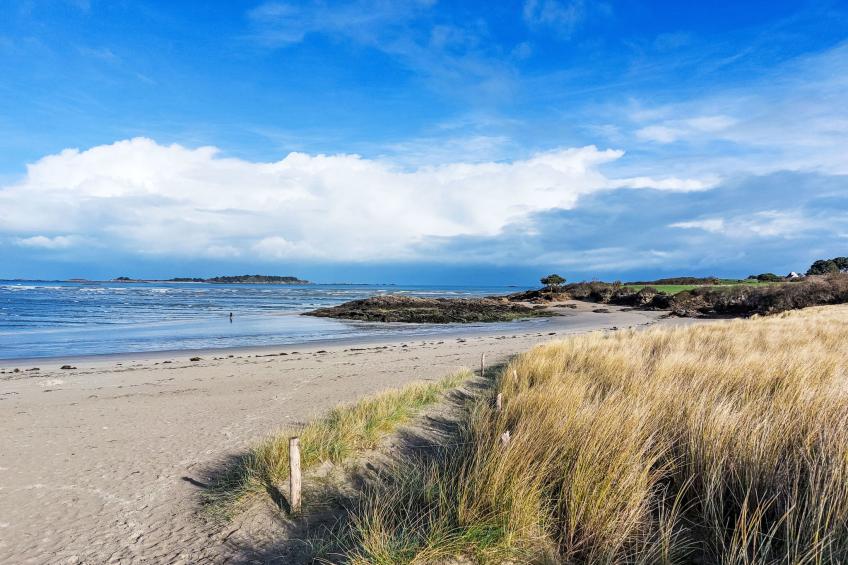 Les Agapanthes - foto 44