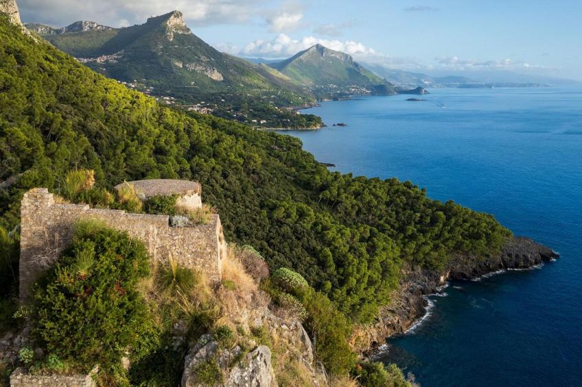 Flach violett - foto 17