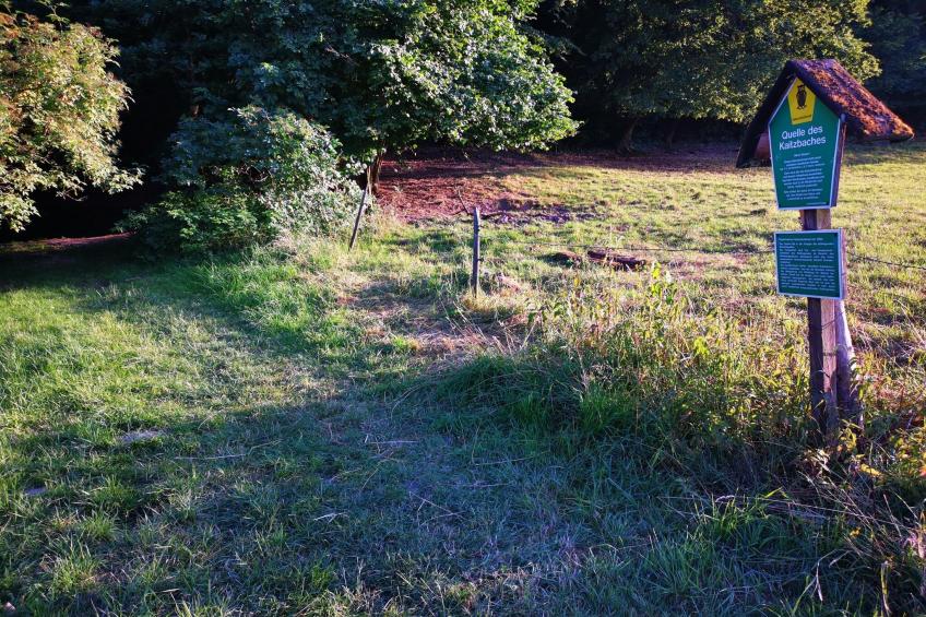 Ferienwohnung Freital - Dresden - foto 8