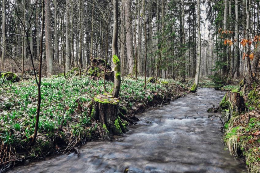 Švýcarka - foto 47