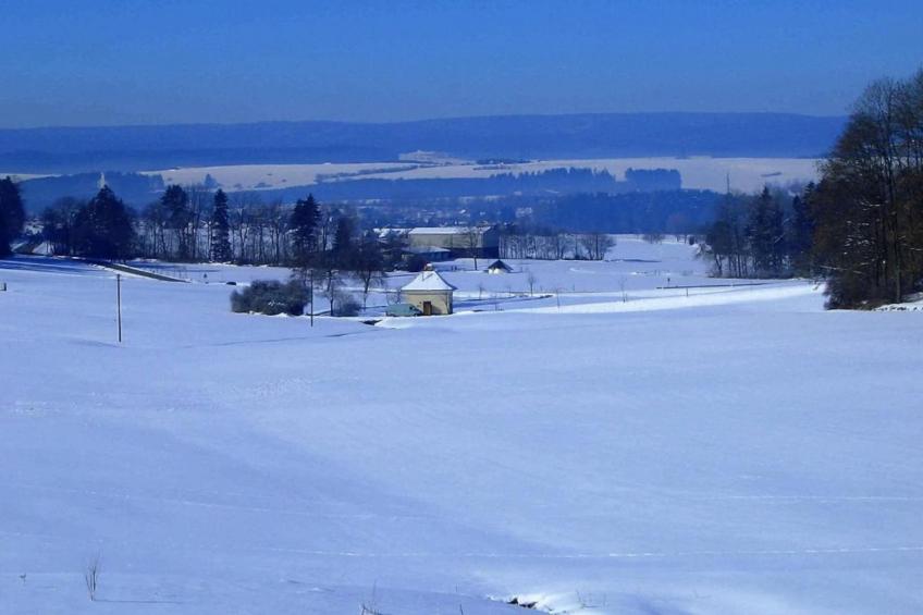 Park Blick - foto 40