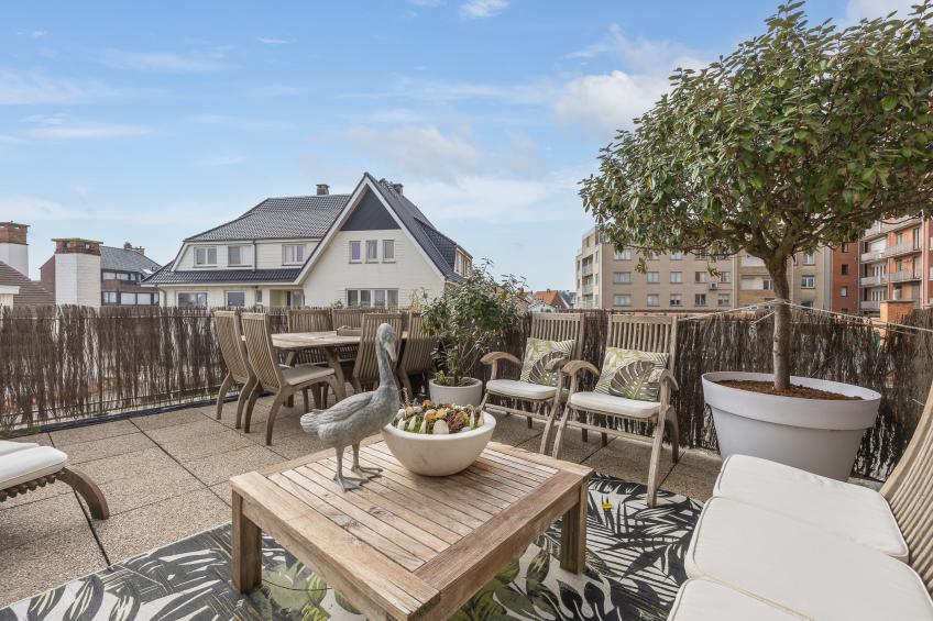 Rising Sun - 0101 - foto 3