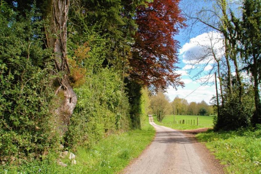 Le Castel - foto 37