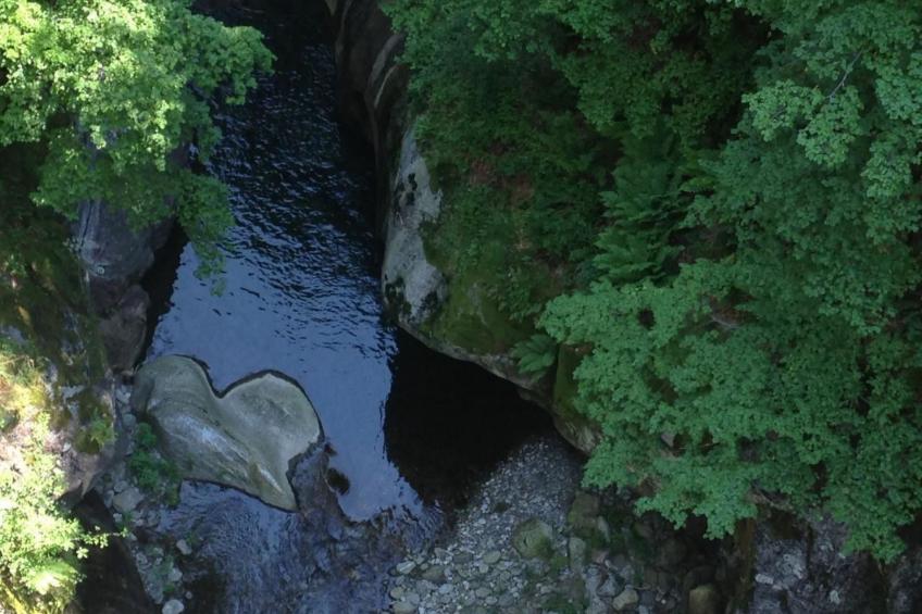 Ursprüngliches, stilvolles Rustico - foto 19