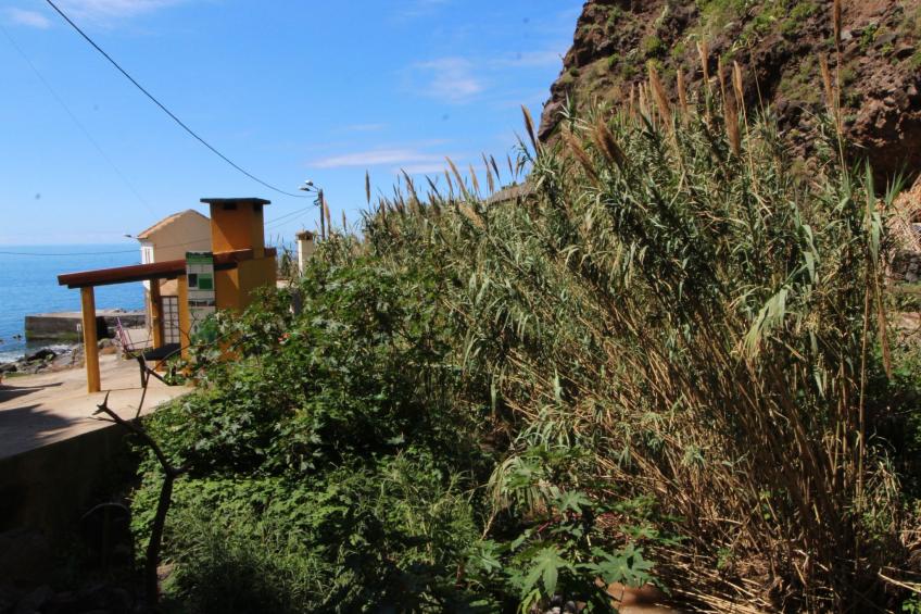 mit Blick auf das Wasser - foto 27