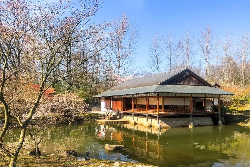 In Sint Lambertus - foto 38