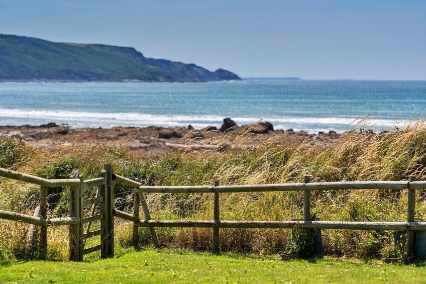 Driftwood - foto 31