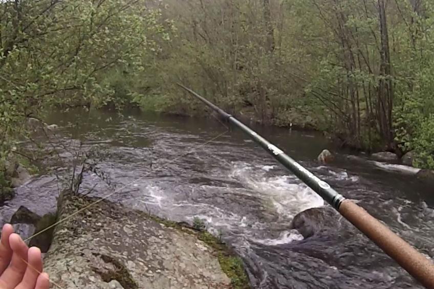 LA CABANE DES REVES - foto 17