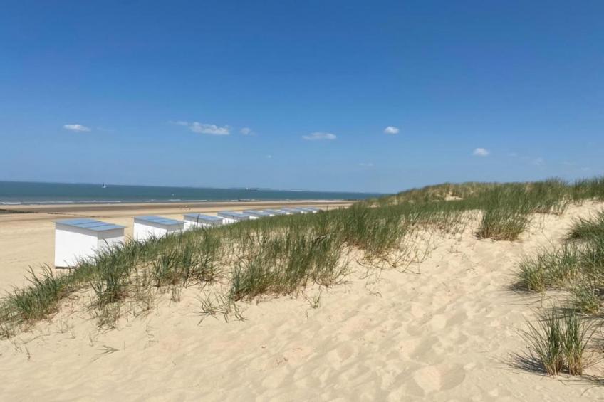 Groot Hof ter Zand - foto 37