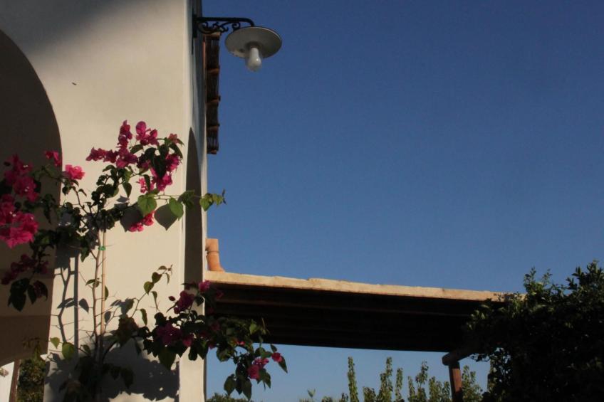 'Haus am Zitronenhain' - foto 12