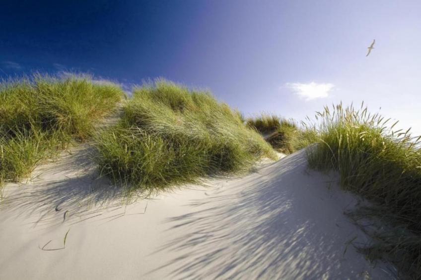 Residentie Californië - foto 14