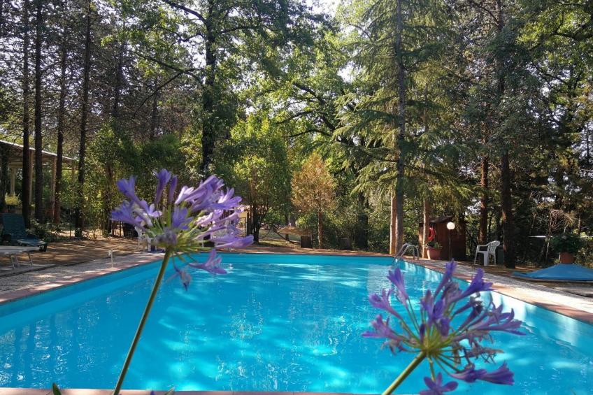 Haus in Cetona mit privatem Parkplatz - foto 9