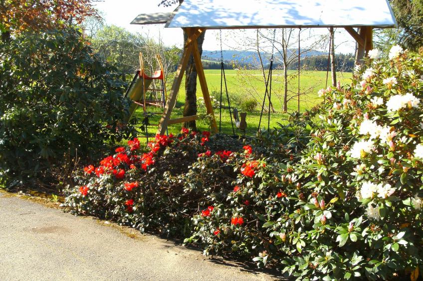 Gütenbach - foto 13