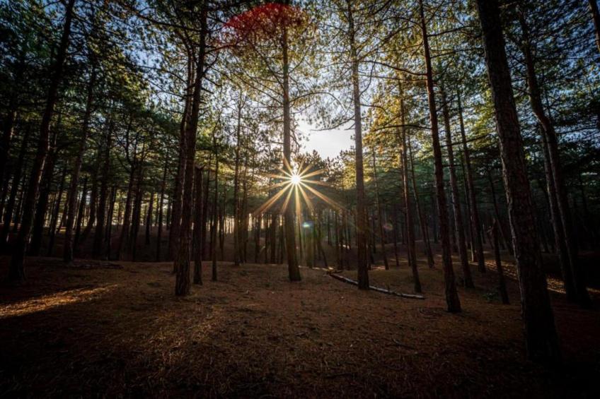 Beach 15-20 - foto 19