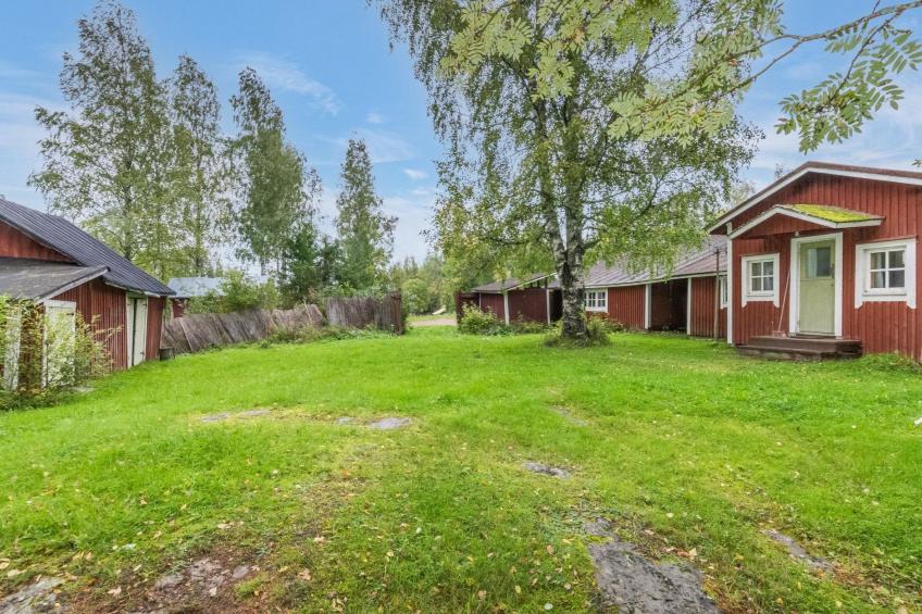 Tähdikki - foto 2