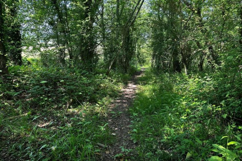 South Downs Lodge - foto 22