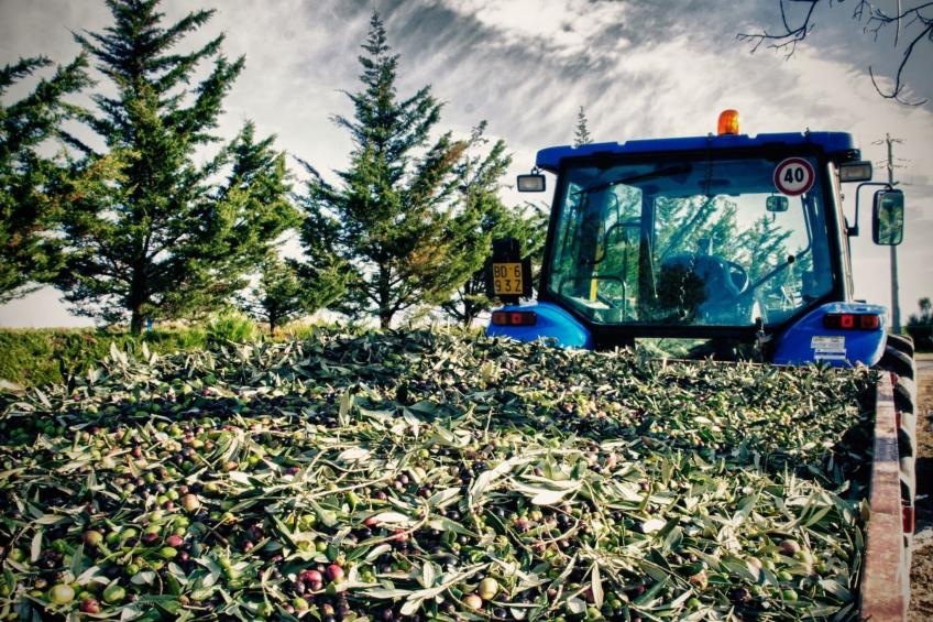 Il Melograno Panoramahaus - foto 26