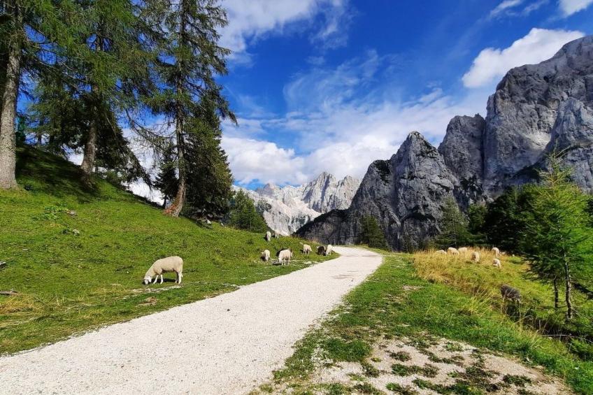 Studio-Appartement mit Balkon - foto 35