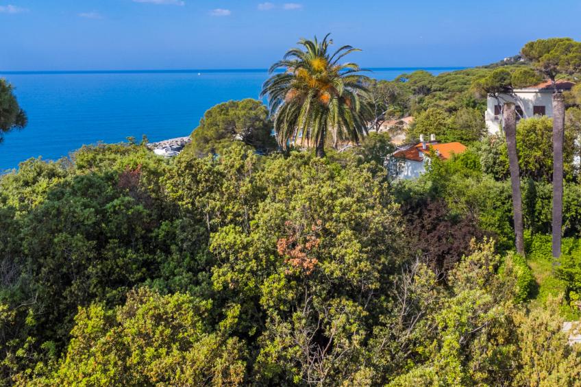 Beach home - foto 46