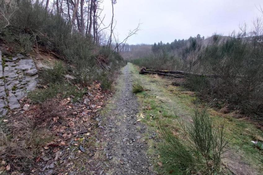 Au Moulin du Fî - foto 37