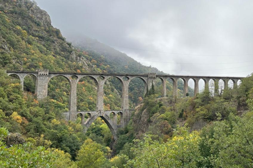 The Olive Retreat - foto 38