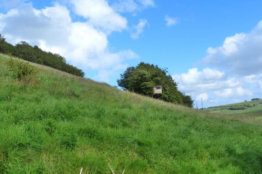 Gemütliches Ferienhaus für 2 Personen und 1 Kind - foto 17
