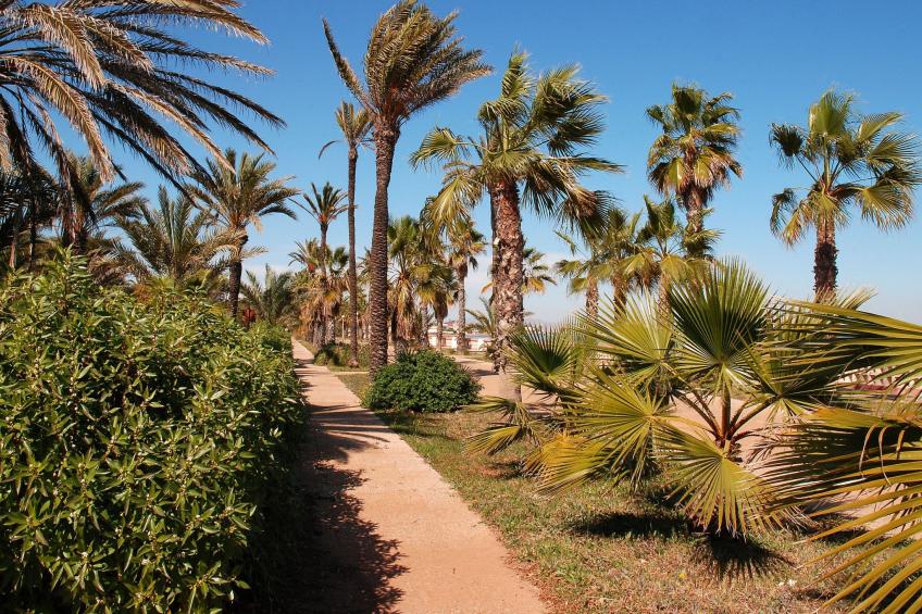 Almendros 7 - foto 35