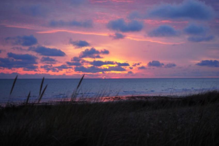 Le Bois aux Ecureuils (Eichhörnchenwald) - foto 33