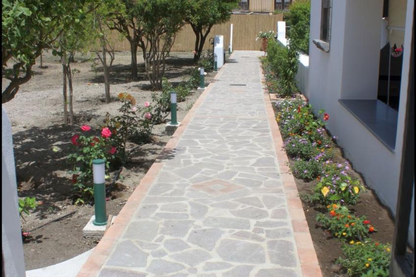 'Camelia ab 236 - foto 17