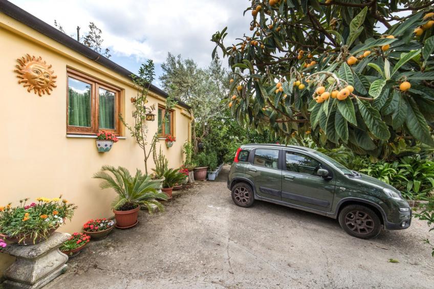 Sonnenstrahl - foto 16