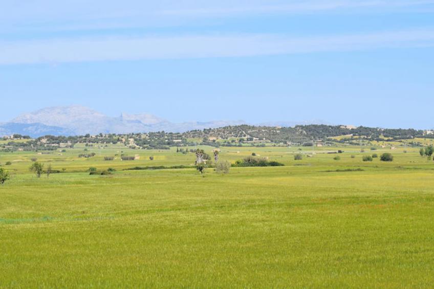 Maison à Maria de la Salut - foto 30