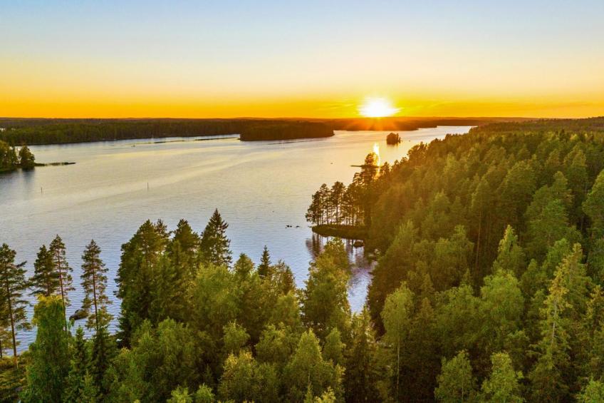 Aapeli iso - foto 19