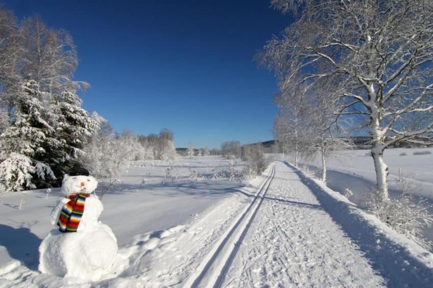 Jägersgrün - foto 28