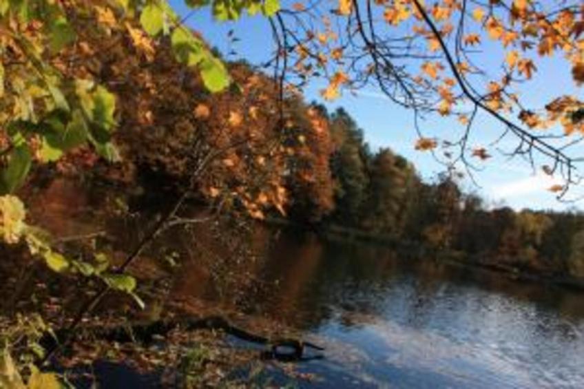 Thomas Müller - foto 33