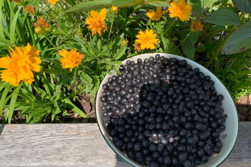 Chalet "Rennweg 114" mit Sauna - foto 65