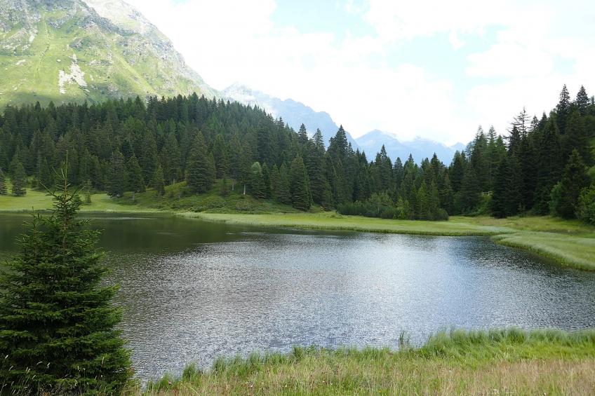 Nido delle Alpi - foto 30