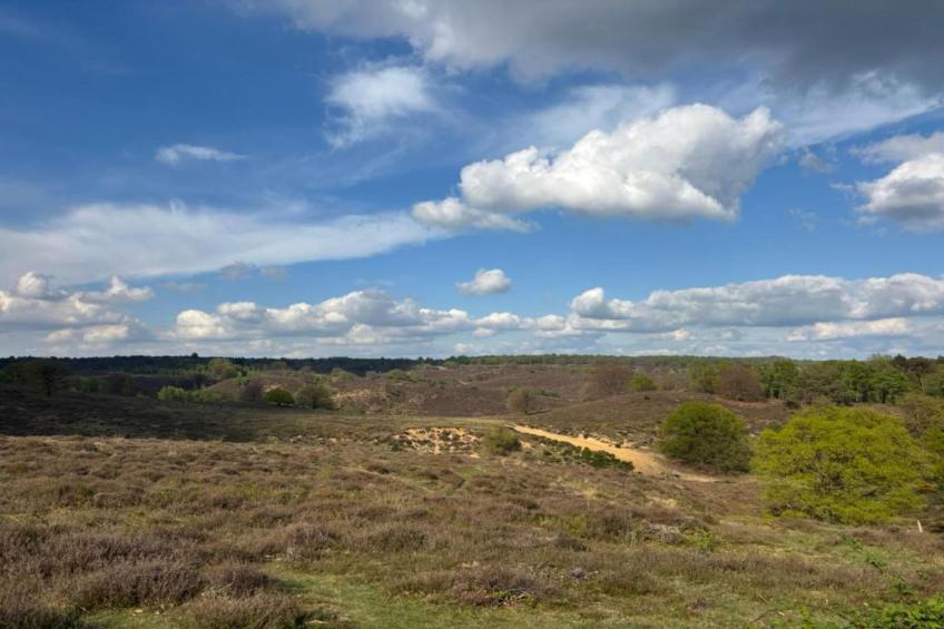 Recreatiepark Rhederlaagse Meren 21 - foto 36