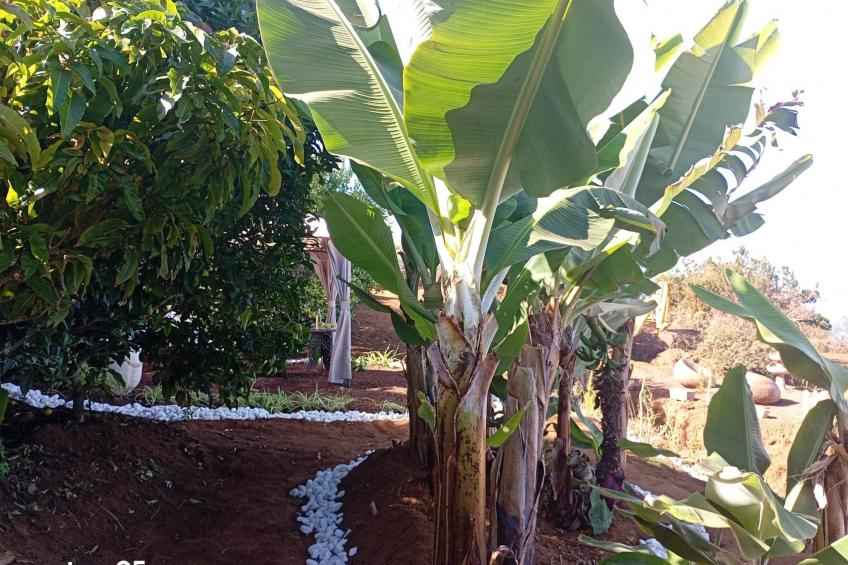 "El pajal House Relax" - foto 39